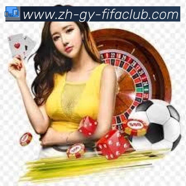未来规划