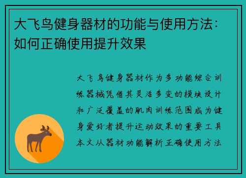 大飞鸟健身器材的功能与使用方法：如何正确使用提升效果